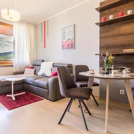 Apartamenty Viva Maria Закопане Екстер'єр фото
